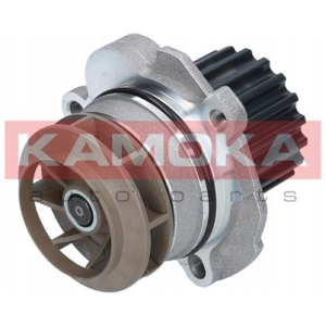 T0027 KAMOKA VANNPUMPE 038121011J