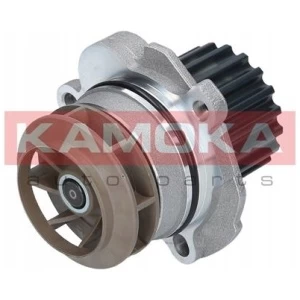 T0027 KAMOKA VANNPUMPE 038121011J