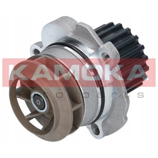 T0027 KAMOKA VANNPUMPE 038121011J