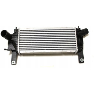 INTERCOOLER NISSAN NAVARA D40 PATHFINDER 14461EB360