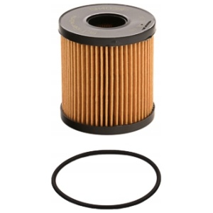 SCT TYSKLAND FILTER MN982419