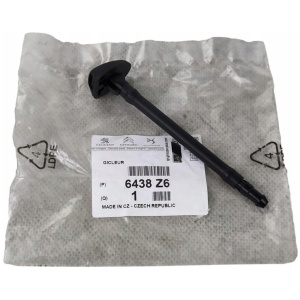 FRONTSPRUTE DYSE FOR CITROEN C5 III ORIGINAL 6438Z6