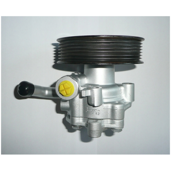 SERVOPUMPE NISSAN NAVARA 491104JA0B - Bilde 2