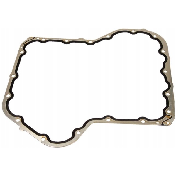 BUNNPANE PAKNING CITROEN C6 030457