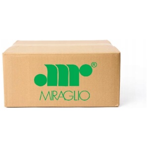 VINDUSHEIS MIRAGLIO VW 1K9839461A