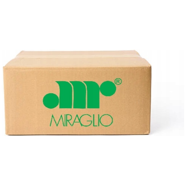 VINDUSHEIS MIRAGLIO VW 1K9839461A