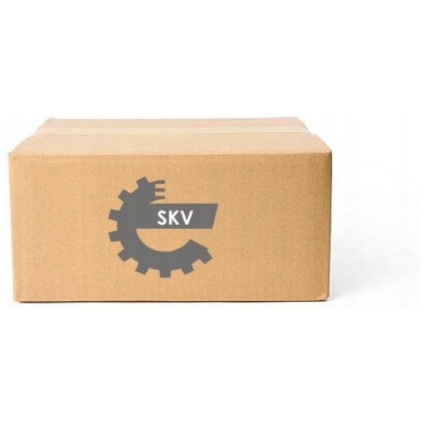SKV VISKERMOTOR BAK MERCEDES A1698201440