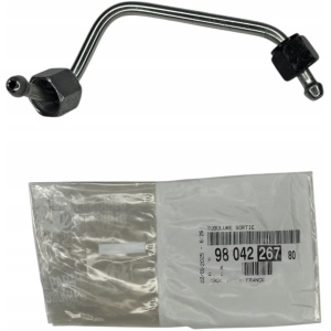 INJEKSJONSDYSER DRIVSTOFFRØR FOR CITROËN C3 PEUGEOT 308 1.6 BLUEHDI 9804226780