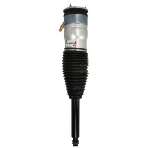 LUFTDEMPER BAK TESLA MODEL S 600635300C