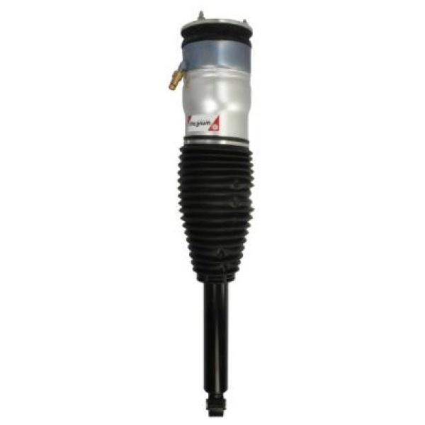 LUFTDEMPER BAK TESLA MODEL S 600635300C
