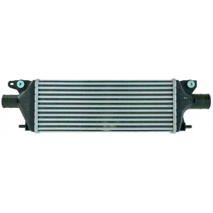 INTERCOOLER SUZUKI SX4 1362079J80