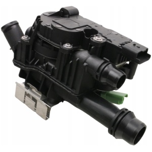 Termostat DS3 DS4 9803549480