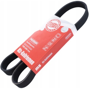 Multireim PK 6PK976 Volvo C30 31251758