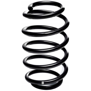 Fjær bak Nissan Leaf 550203NL0A