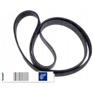 Blue Print multireim 6PK1212 (1212 mm, 6 ribber) 5750QL 12720920503 main
