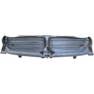 BMW 5-serie E60 LCI aktiv luftspjeld 51117178116 (original) 17685330968 main